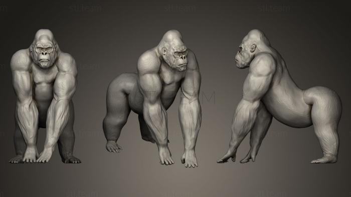 3D model Gorilla King Kong (STL)